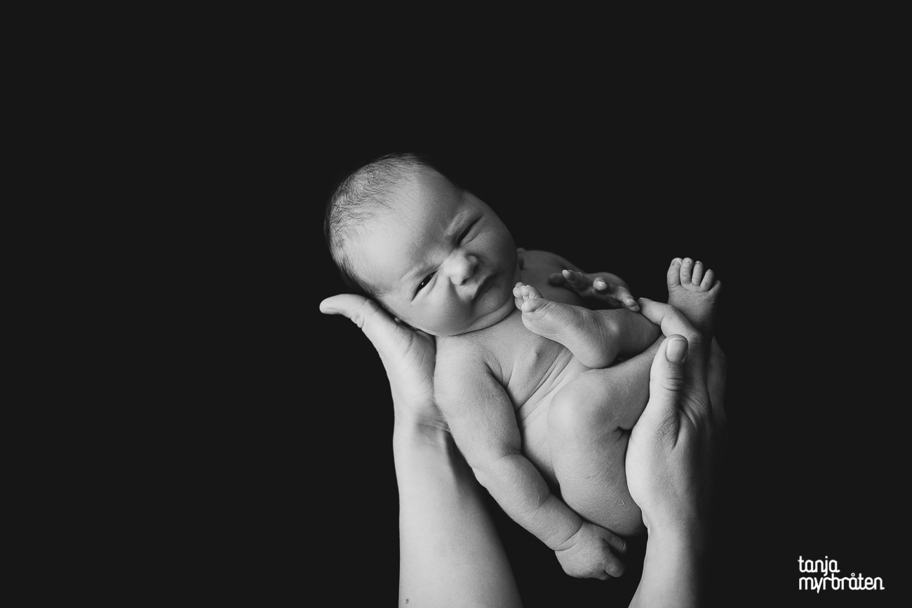 fotograf tanja myrbraten-nyfødt-vestfold-baby